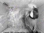 thm_200904090652421.jpg