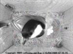 thm_200904150715151.jpg