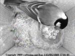 thm_200905031701011.jpg