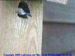 thm_200905091039261.jpg