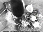 thm_200905131947221.jpg