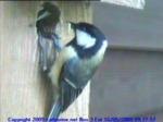 thm_200905160927571.jpg