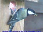 thm_200905191338421.jpg