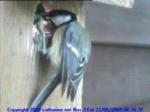 thm_200905220636372.jpg