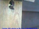 thm_200905220830091.jpg