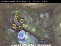 thm_200605171242263.jpg