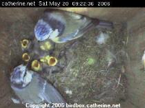 thm_200605200922362.jpg