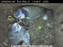 thm_200605211344543.jpg