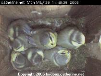 thm_200605291440431.jpg
