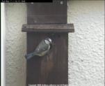 thm_200605071101152_f.jpg