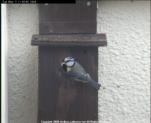 thm_200605071152571.jpg