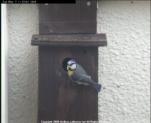 thm_200605071153041_m.jpg
