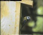 thm_200605071748171.jpg