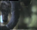 thm_200605072003142.jpg