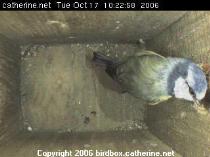 thm_200610171023012.jpg