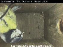 thm_200610191109262.jpg