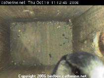 thm_200610191112471.jpg